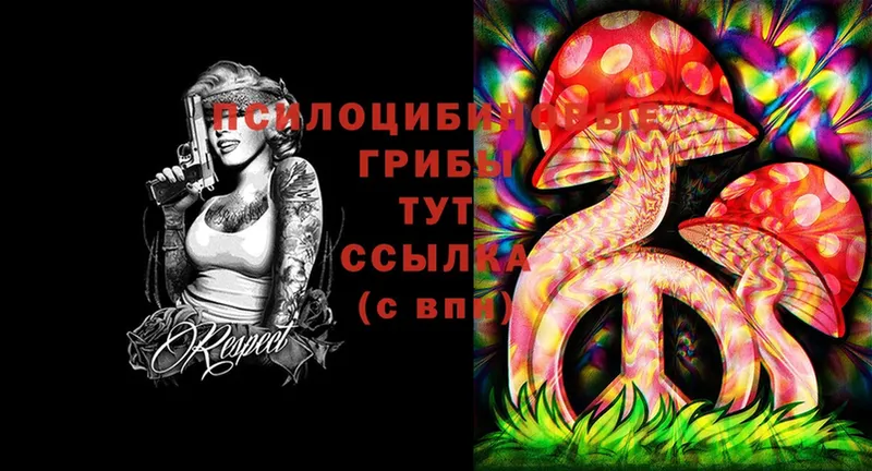 Псилоцибиновые грибы MAGIC MUSHROOMS Бородино